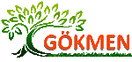 Gökmen Çiçekçilik