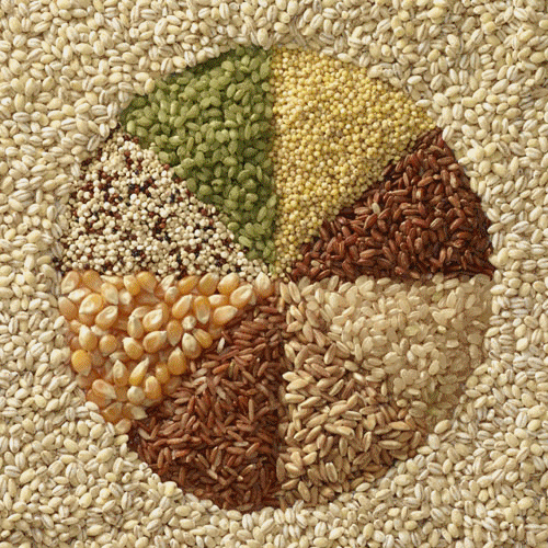 vegetable seeds
